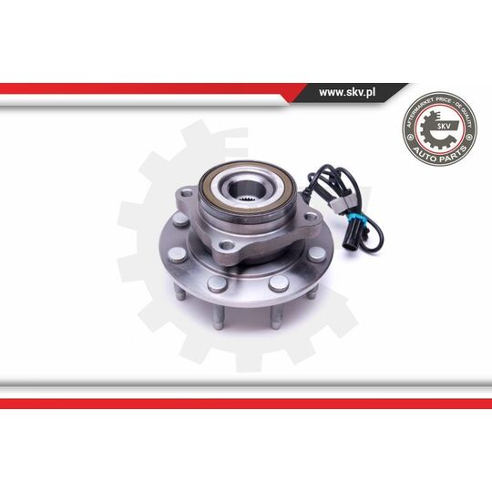 29SKV376 - Wheel Bearing Kit 