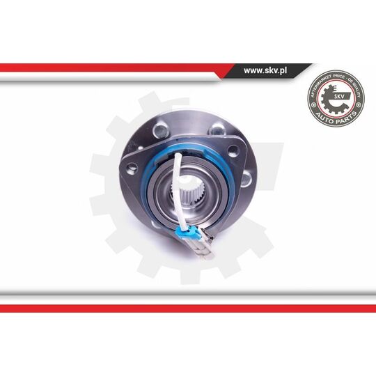 29SKV365 - Wheel Bearing Kit 