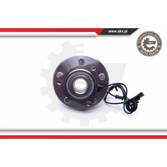 29SKV318 - Wheel Bearing Kit 