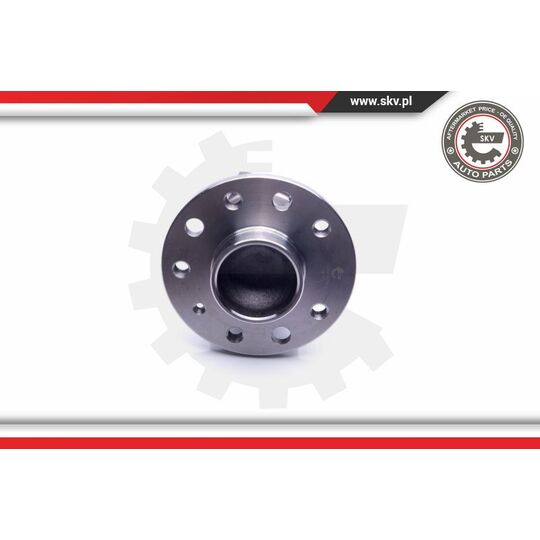 29SKV278 - Wheel Bearing Kit 