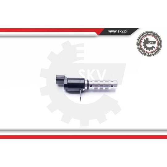 39SKV021 - Control Valve, Camshaft Adjustment 