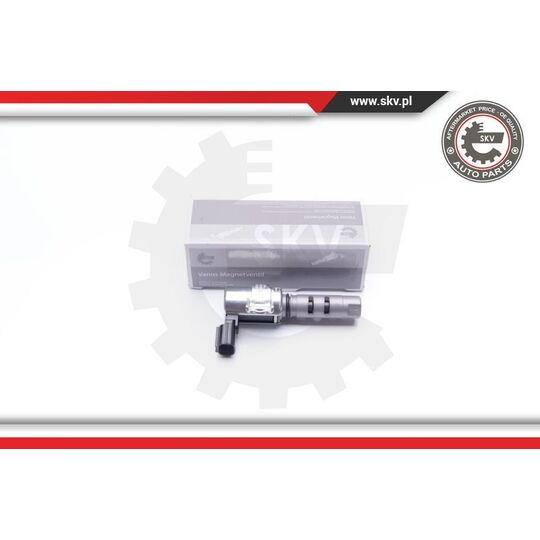 39SKV031 - Control Valve, Camshaft Adjustment 