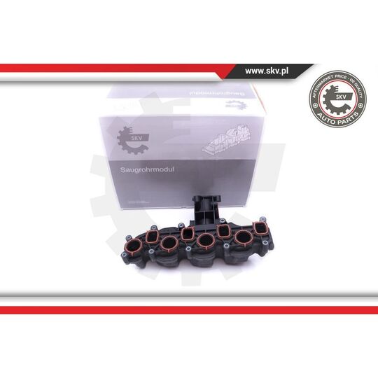 49SKV008 - Intake Manifold Module 