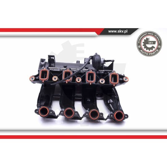 49SKV017 - Intake Manifold Module 