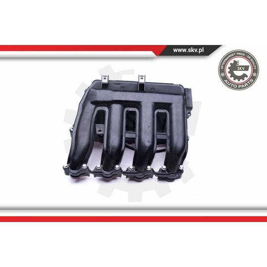 49SKV017 - Intake Manifold Module 