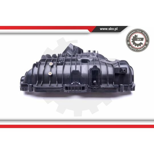 49SKV030 - Intake Manifold Module 