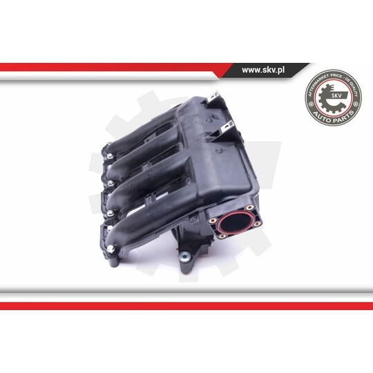 49SKV017 - Intake Manifold Module 