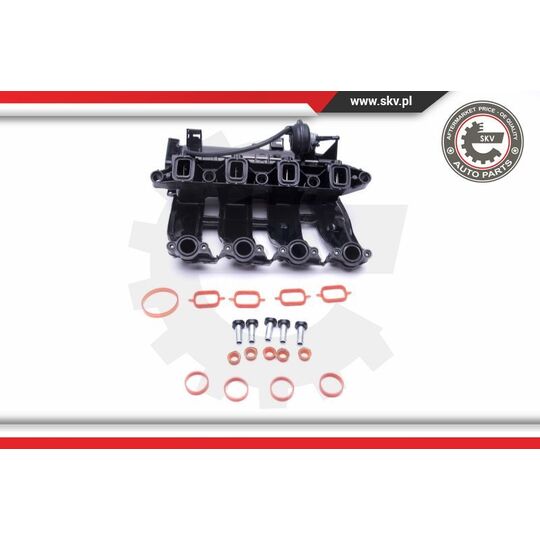 49SKV017 - Intake Manifold Module 