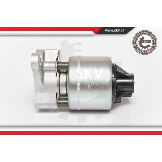 14SKV056 - EGR Valve 