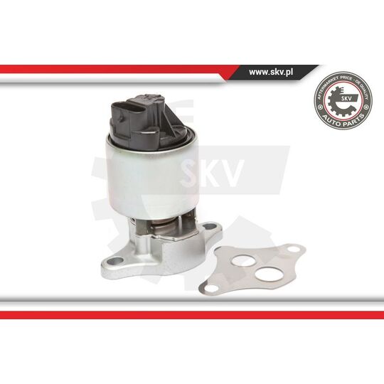 14SKV056 - EGR Valve 