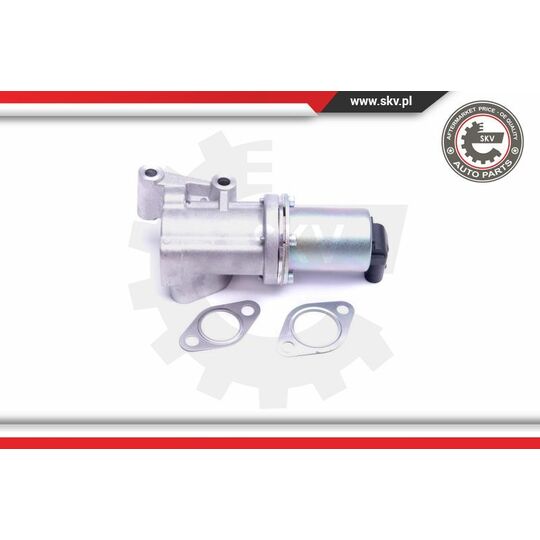 14SKV211 - EGR Valve 