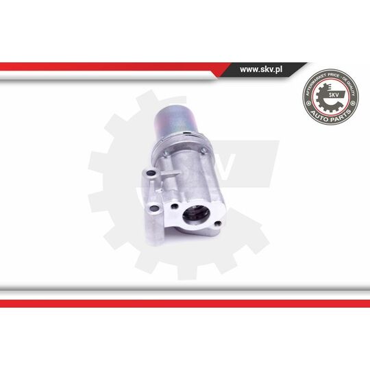 14SKV211 - EGR Valve 