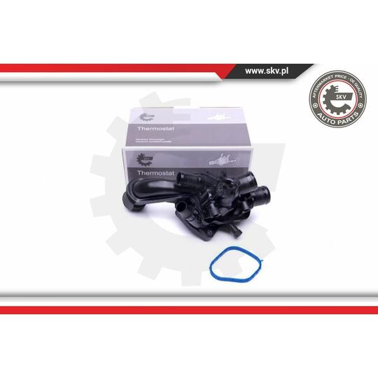 20SKV096 - Thermostat, coolant 