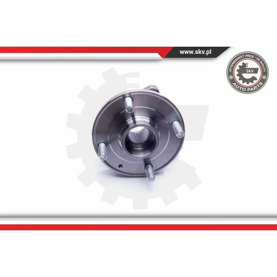 29SKV279 - Wheel Bearing Kit 