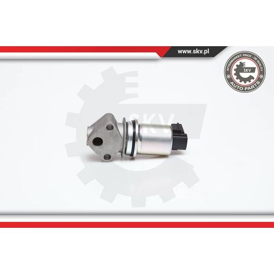 14SKV029 - EGR Valve 