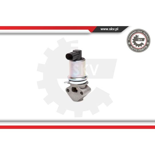 14SKV029 - EGR Valve 