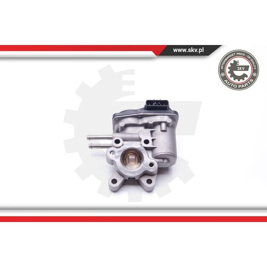 14SKV103 - EGR Valve 