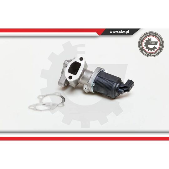 14SKV039 - EGR Valve 