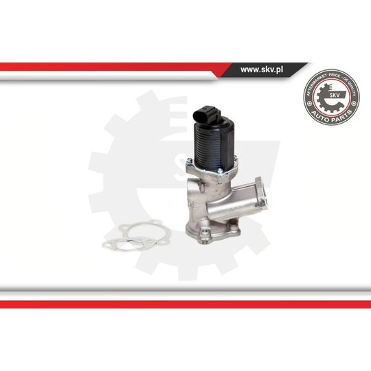 14SKV039 - EGR Valve 