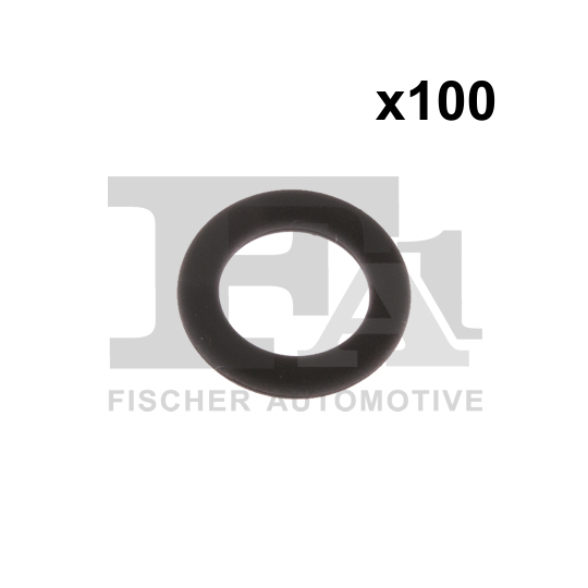 076.557.100 - Seal Ring 