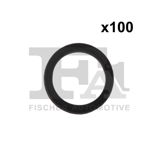 076.578.100 - Seal Ring 