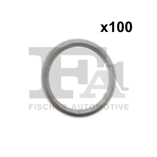 100.058.100 - Seal Ring 