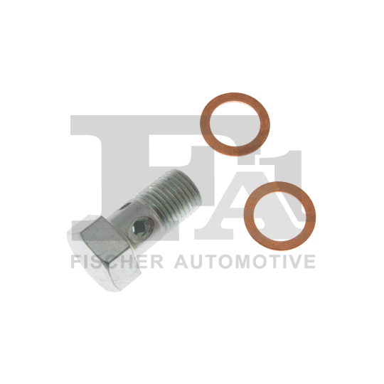 989-10-015.021 - Hollow Screw, charger 