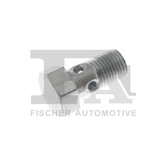 989-10-015 - Hollow Screw, charger 