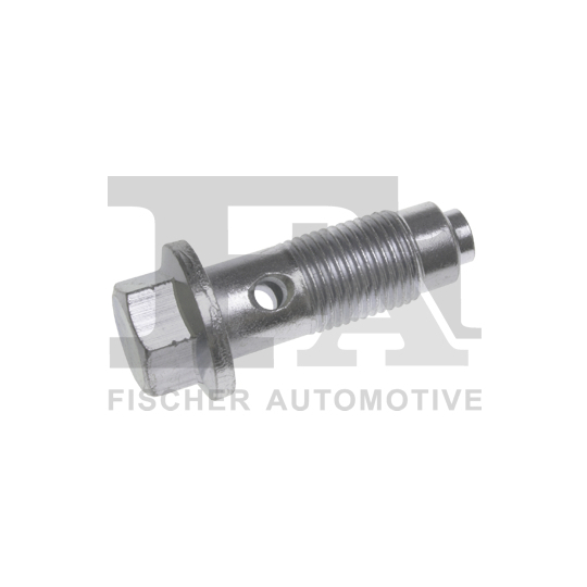 989-16-001 - Hollow Screw, charger 