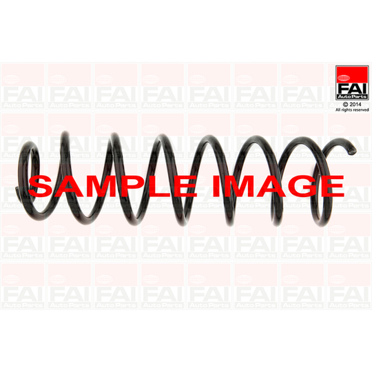 SP037 - Coil Spring 