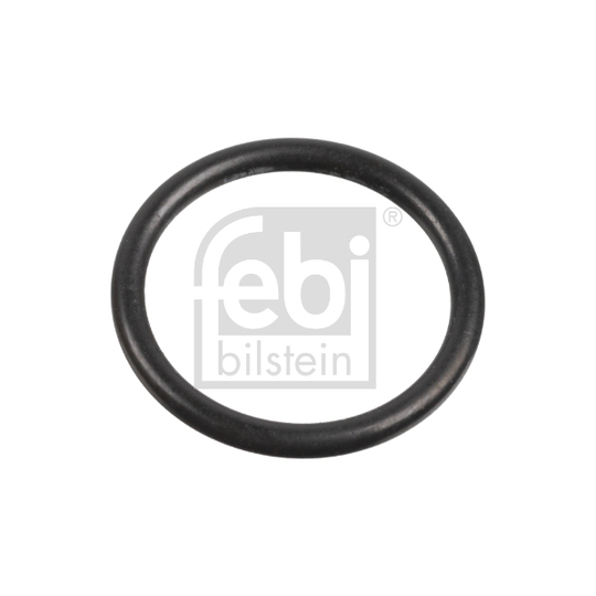 171586 - Seal Ring, injector 