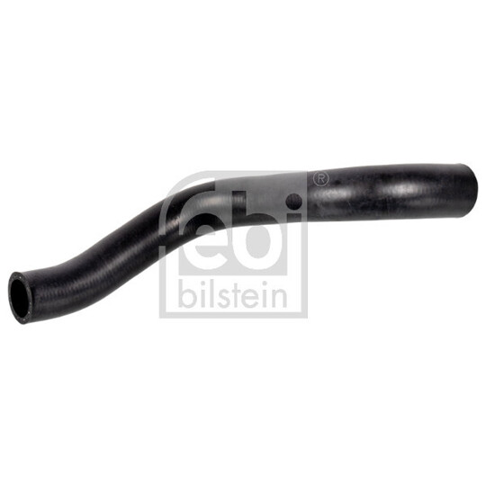 172957 - Radiator Hose 