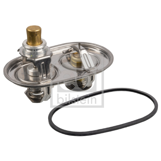 173372 - Thermostat, coolant 