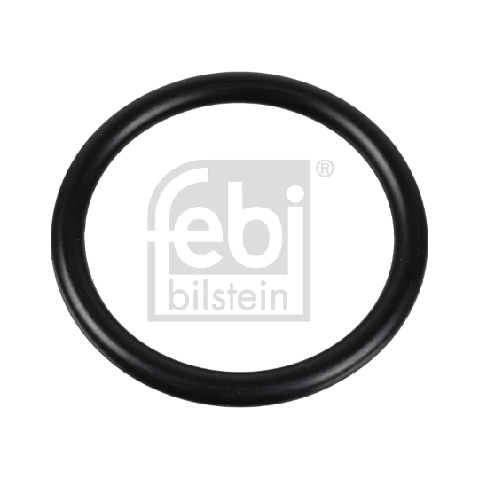 174322 - Gasket, thermostat 