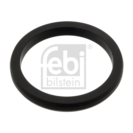 47534 - Seal Ring, coolant tube 