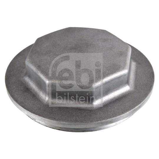 171253 - Protection Lid, wheel hub 