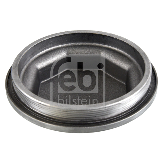 171253 - Protection Lid, wheel hub 