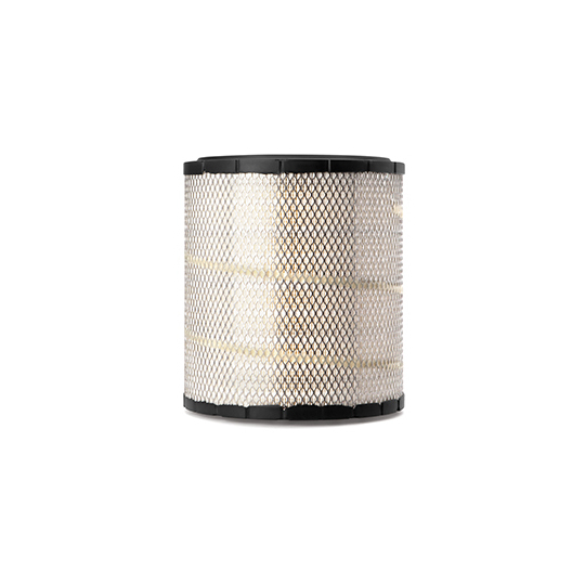 AF25199 - Air Filter 