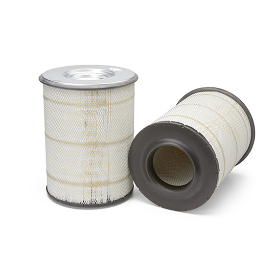 AF25631 - Air Filter 