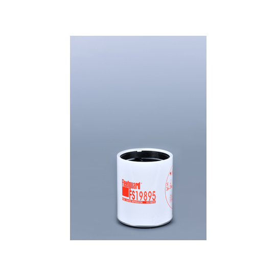 FS19895 - Fuel filter 