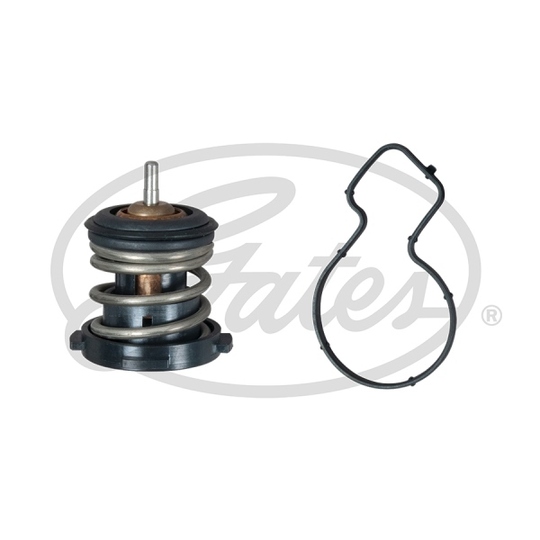 TH59787G1 - Thermostat, coolant 