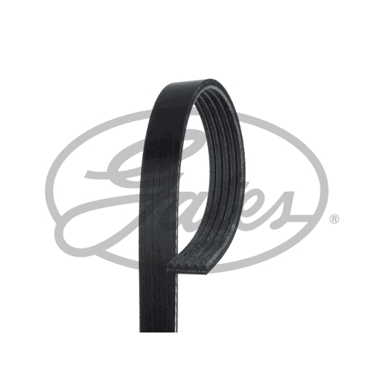 5PK1108 - V-Ribbed Belt 