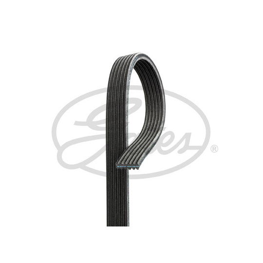 6DPK1238 - V-Ribbed Belt 