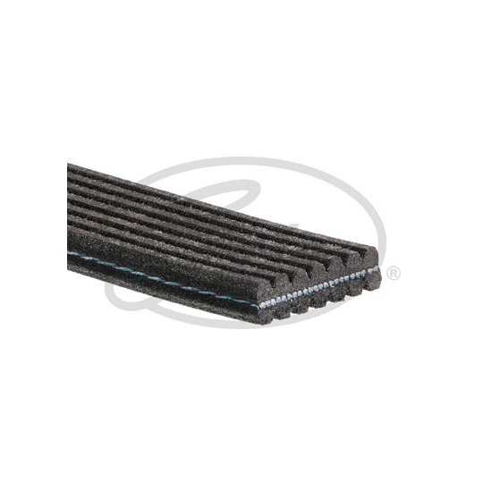 7DPK2425 - V-Ribbed Belt 