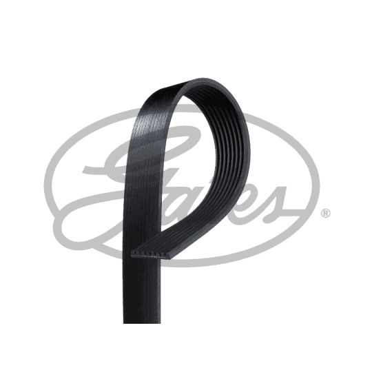 V-Ribbed Belt