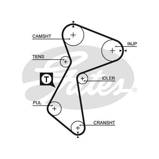 K015484XS - Timing Belt Set 