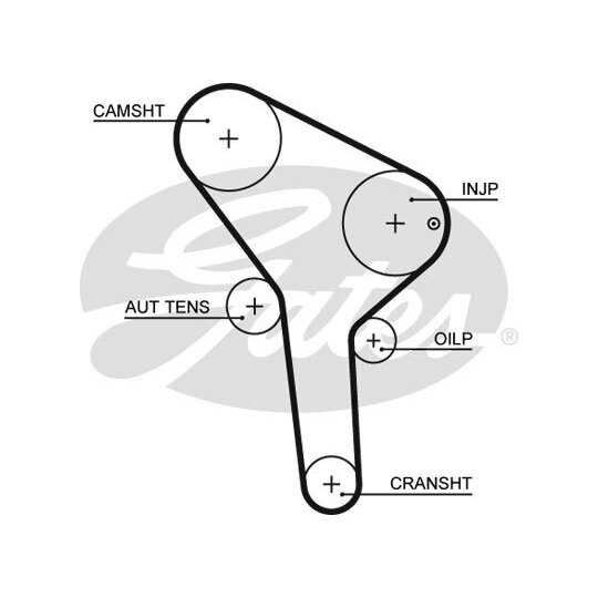 K015564XS - Timing Belt Set 