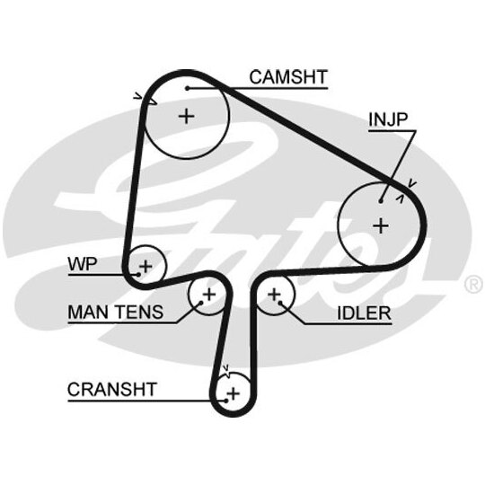 K015596XS - Timing Belt Set 