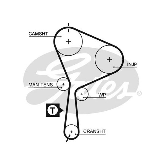 K025552XS - Timing Belt Set 