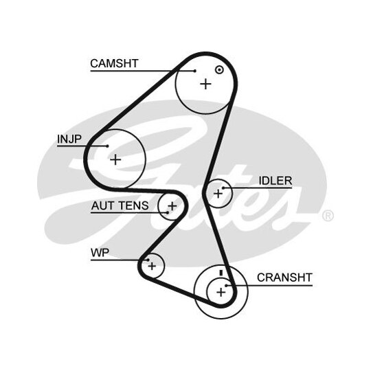 K025587XS - Timing Belt Set 